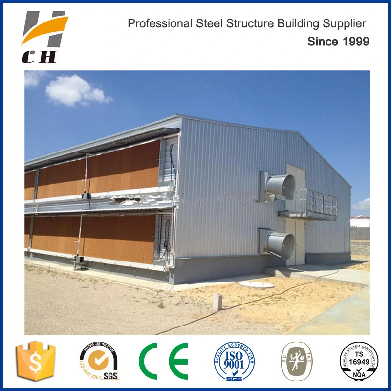 Full Enclosed Automatic Chicken Farming House Feeding Broiler for Two Storey Floor Design