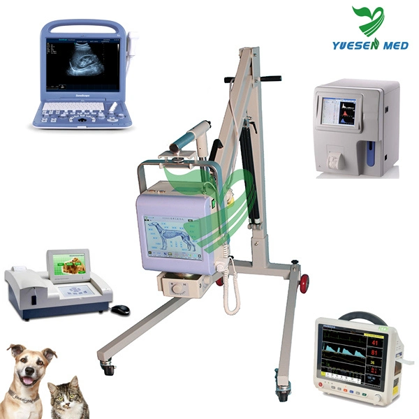 Veterinarios médicos máquina de rayos X 200mA Vet Unidad de rayos X