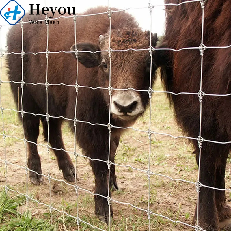 Deer Fence Sheep Wire Horse Fence Effective and Humane Barrier Chain Link Fence for Protecting Gardens Orchards and Farms From Wildlife Damage Via Wire Mesh