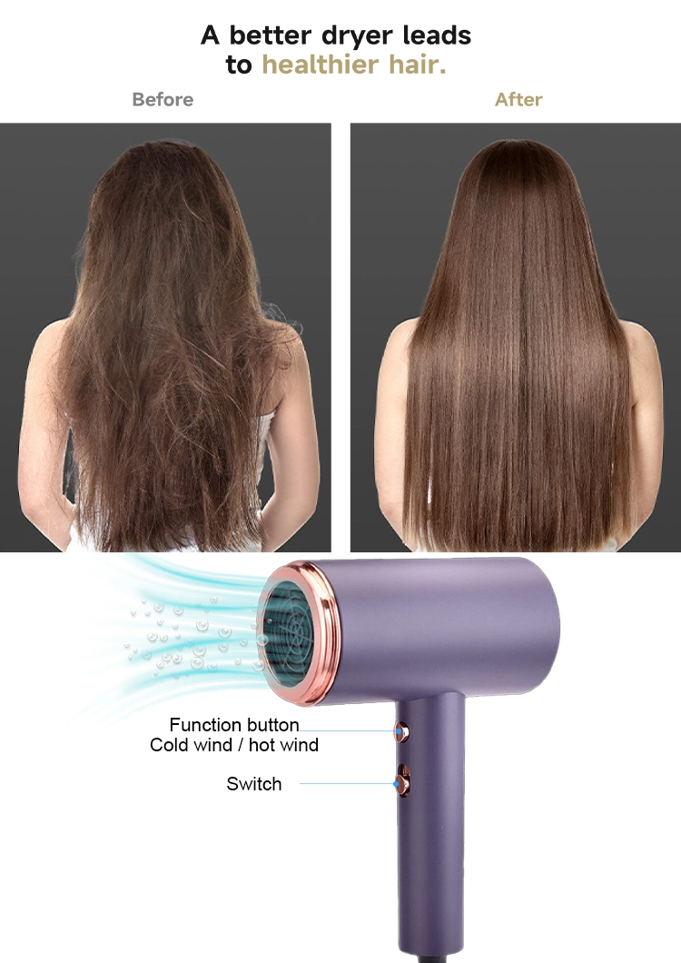 Negative Lon Electrical Househair Dryer