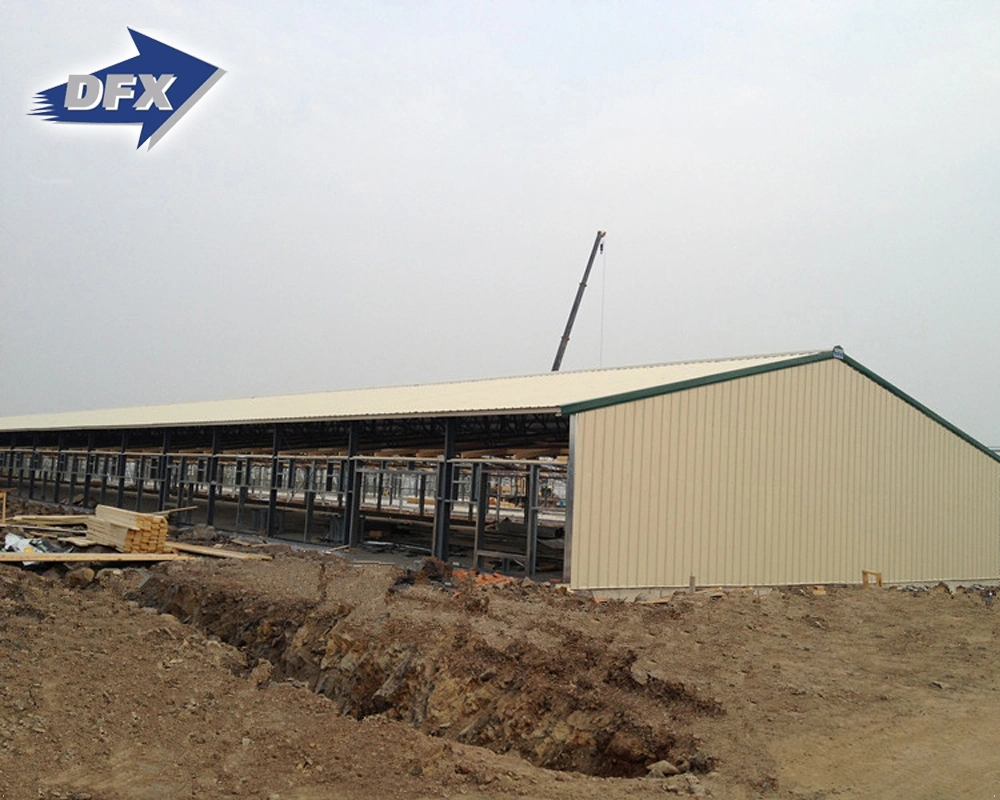 Morden Design Fast Built Construction Steel Building Pig House /Cattle Shed/Poultry Farm