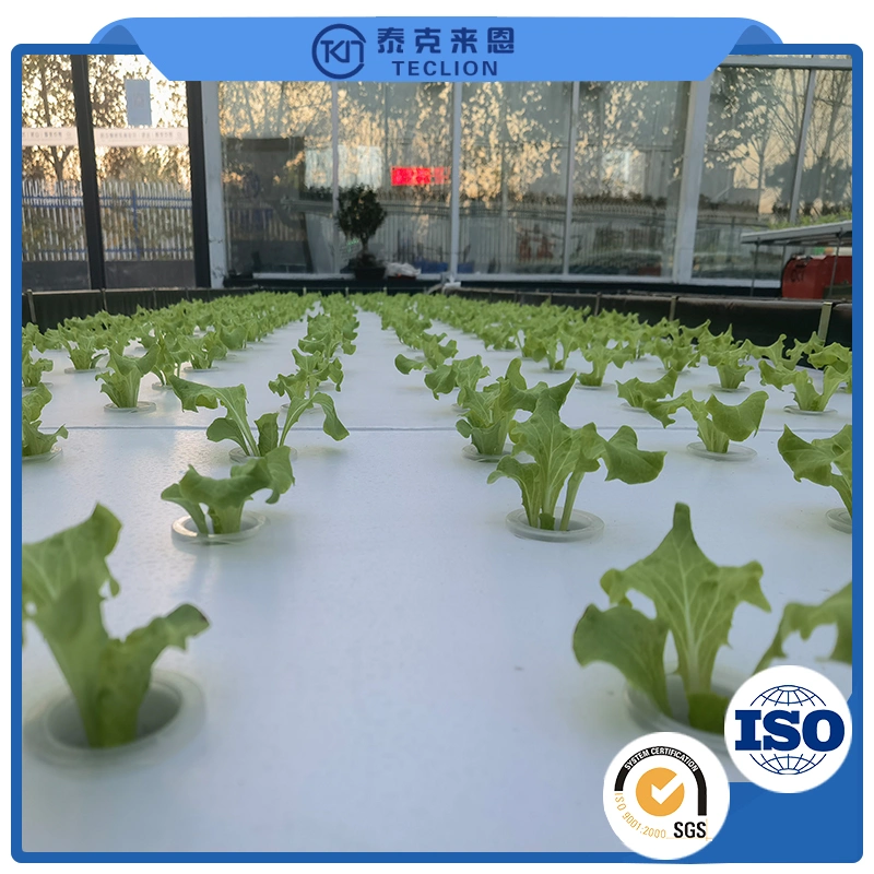 Container Hydroponics Equipment in Agricultural Greenhouse Vertical Agricultural Hydroponics System