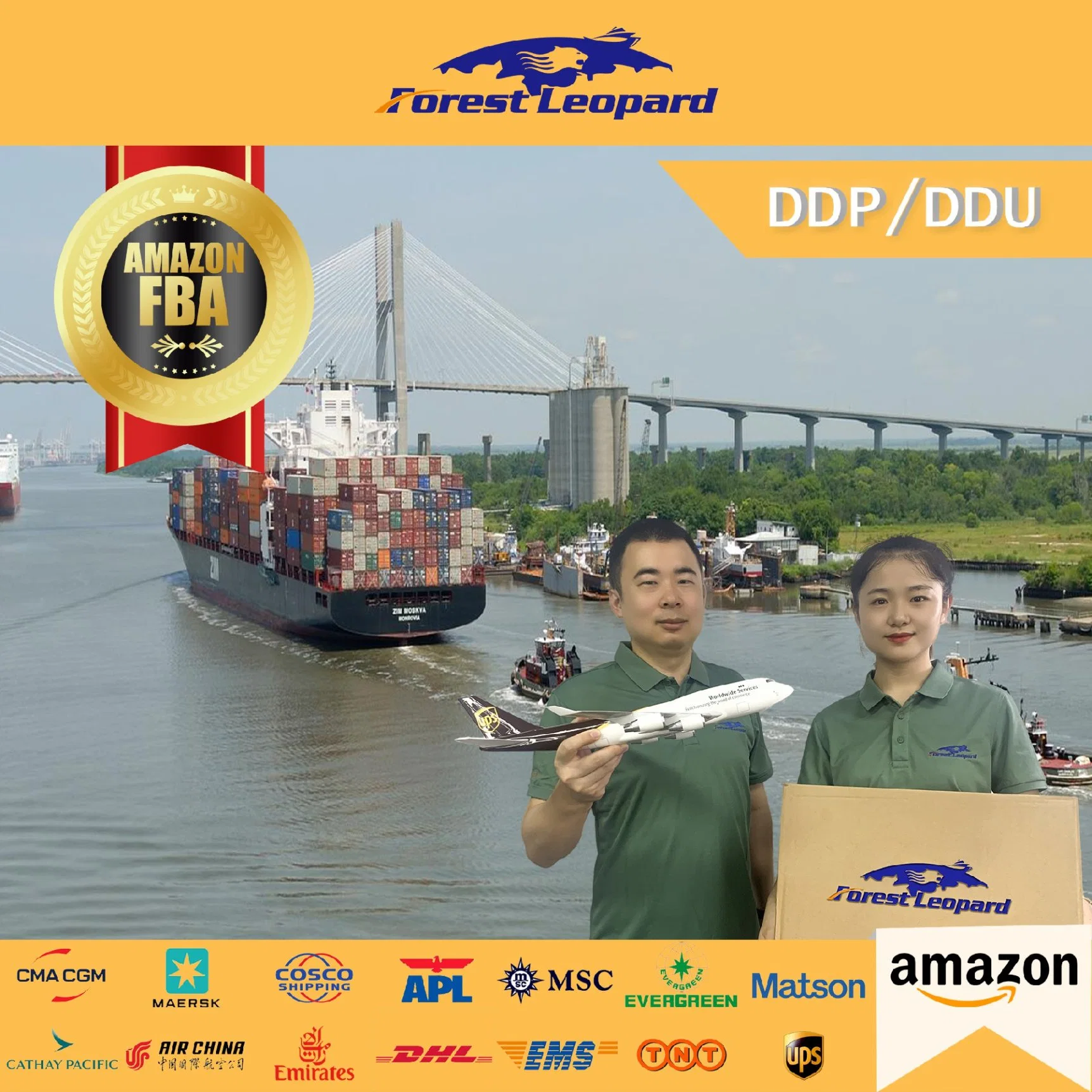 Frais d'adresses personnels/USA de haute qualité d'expédition transitaire à bas prix entreprise de logistique de Shenzhen expédition aux USA par la mer