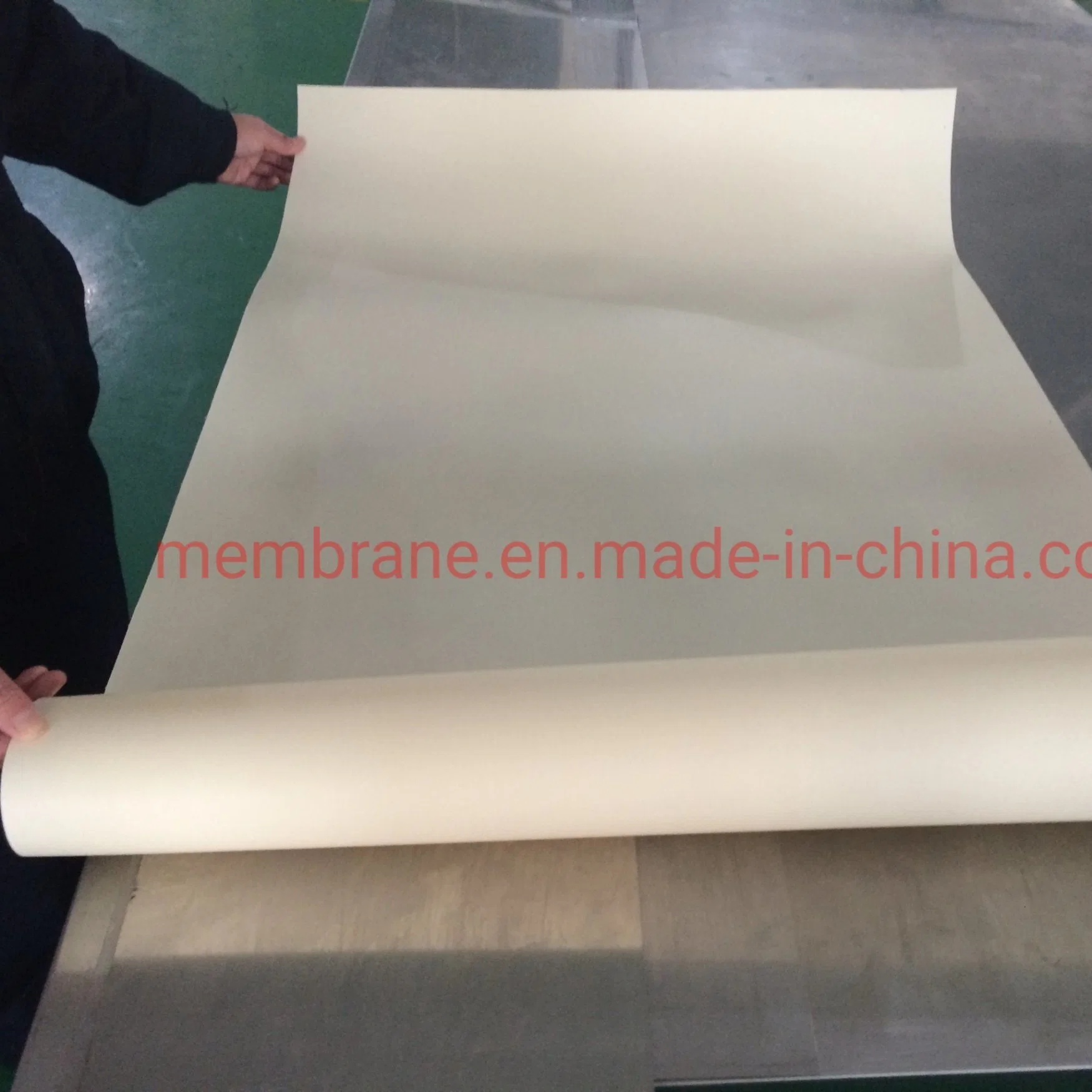 Lanxess feuille de membrane d'échange anionique / Ionac MA-7500