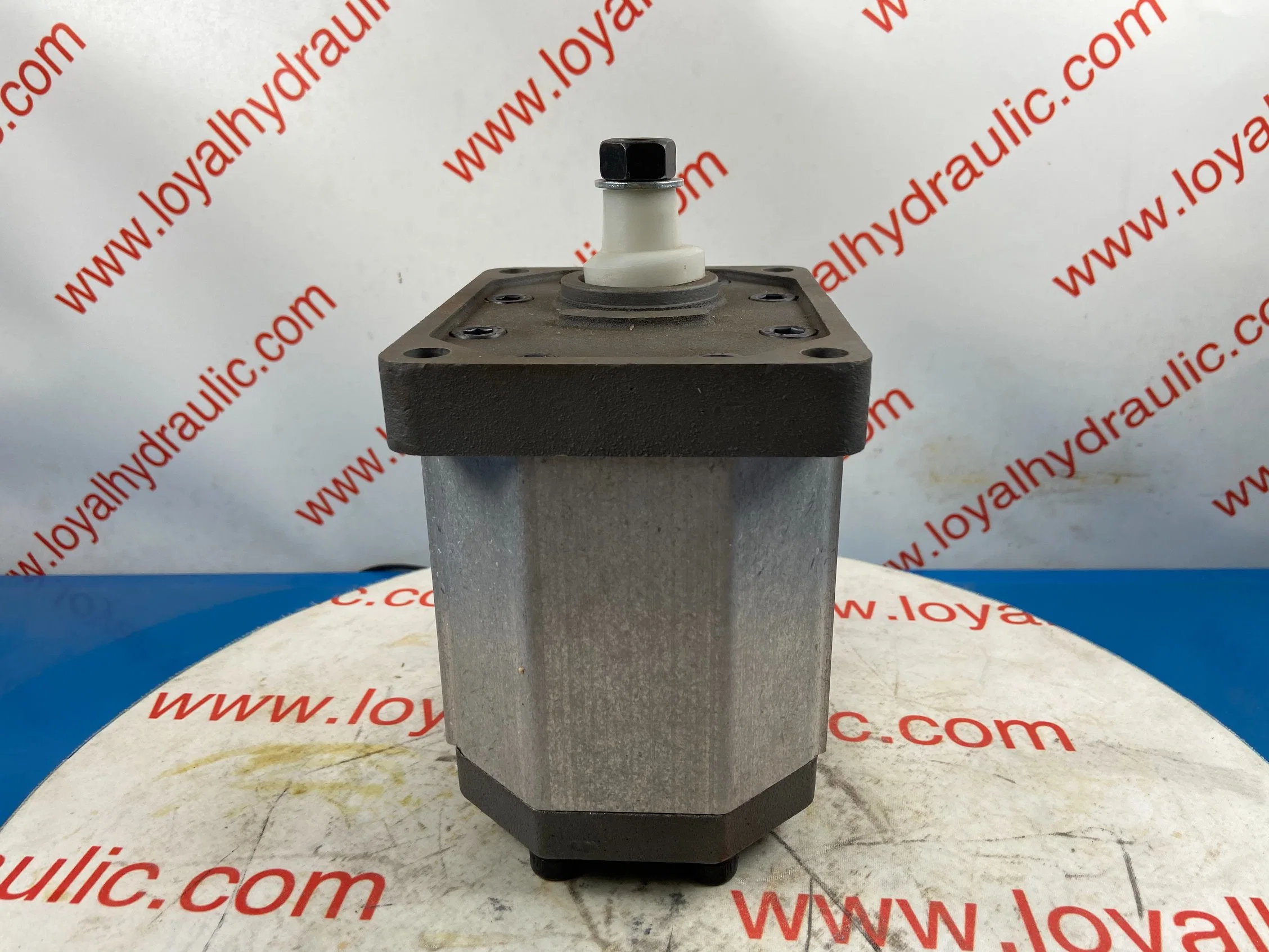 L-Caproni Hydraulic Gear Pump Alp2d16/Alp2d20/Alp2d22/Alp2d34/Alp2ad6/Alp2ad25 for Forklift, Crawler Excavator, Agricultural Machinery, Tractor Spare Parts