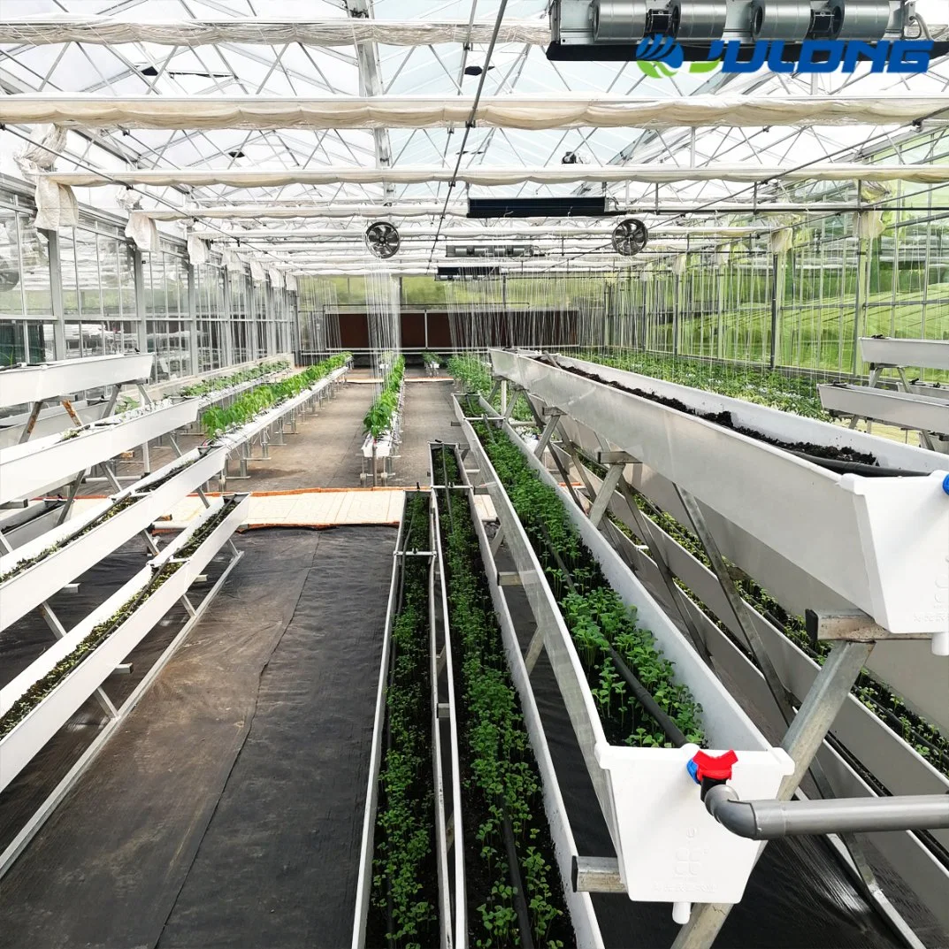 Tomato Lettuce Eggplant Strawberry Hydroponics Multi Span Glass Greenhouse with Cooling/Heating System