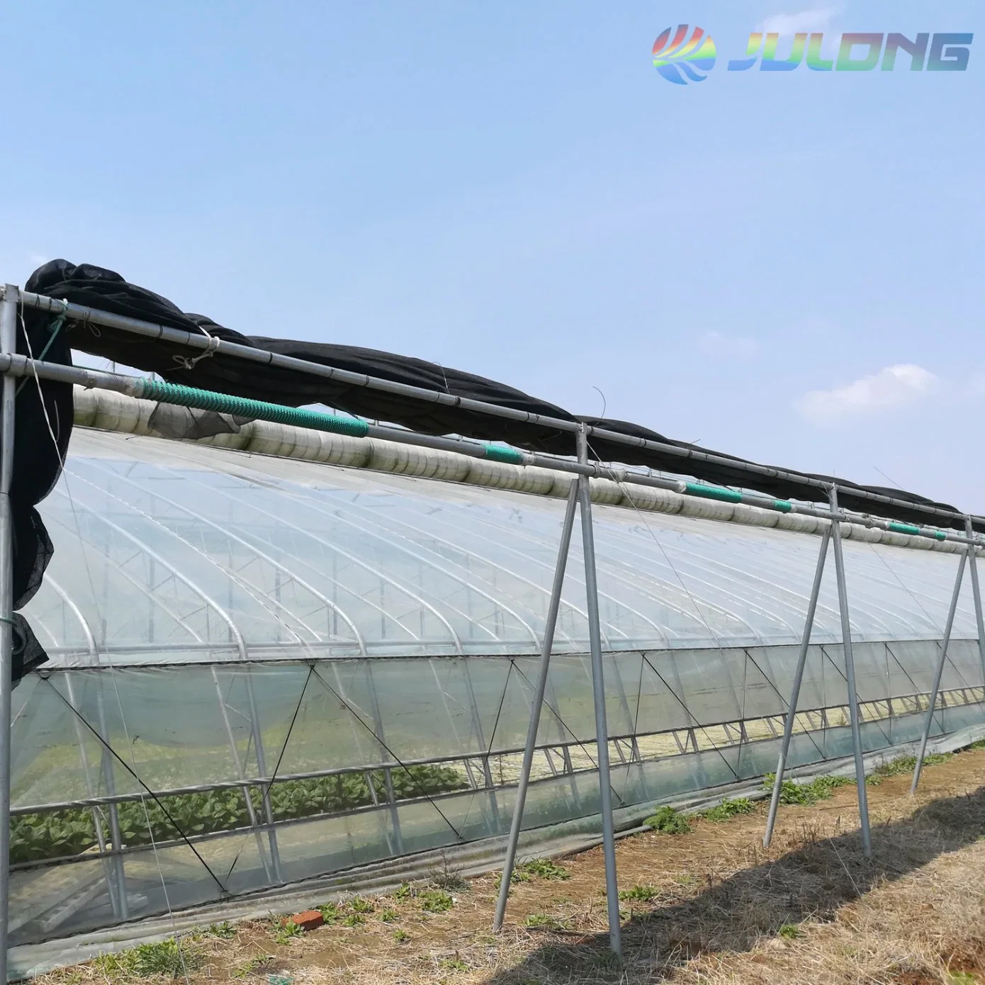 Low Cost Elliptical Tube Assembled Pofilm Cover Solar Greenhouse for Sale