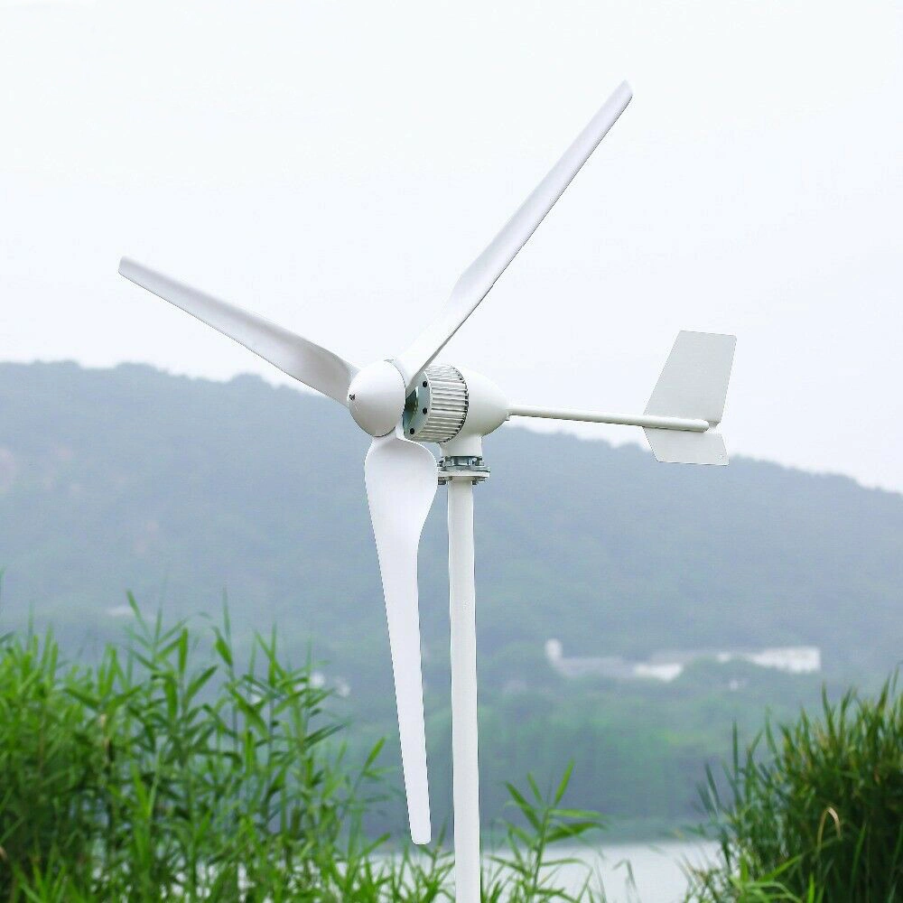 Horizontal 500W 24V 12V Wind Mill Generator for Home Use