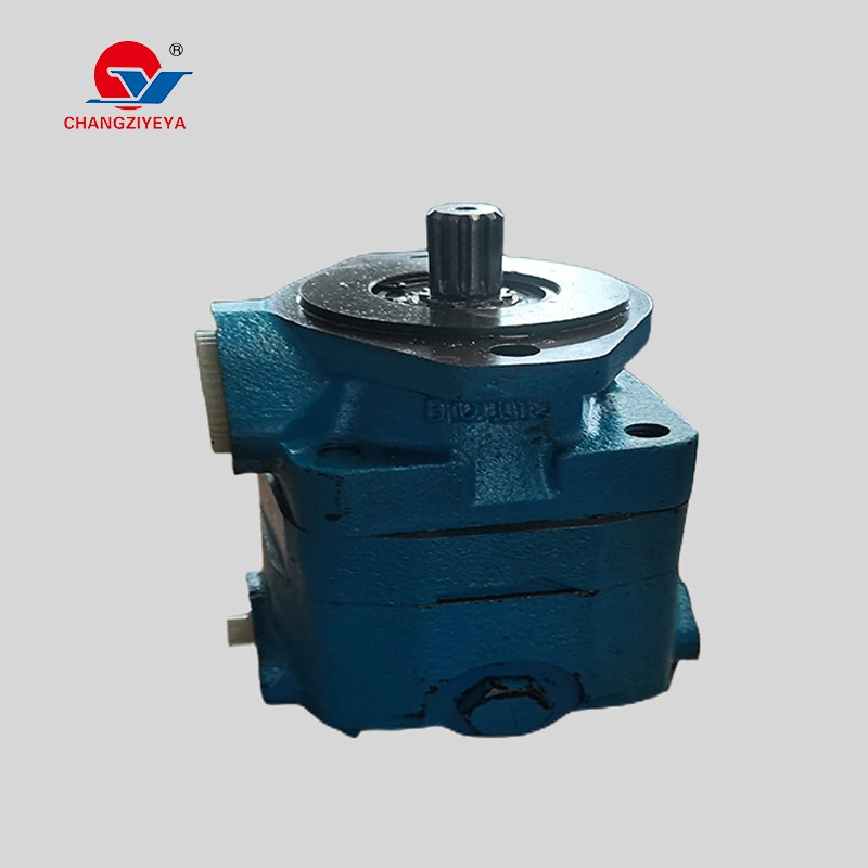 Tzyy Changzhi Hydraulic Power Steering Vane Pump for All Kinds of Heavy and Light Truck or Engineering Vehicles