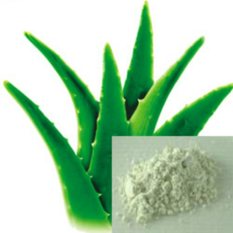 Extracto de hierbas nutural Aloe Vera polvo de extracto 20: 1 Anti-Cance Factory Supply