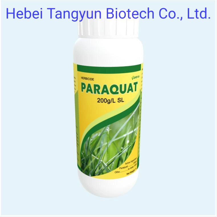 Agrochemikalienpestizid Herbizid Paraqua 200g/L SL