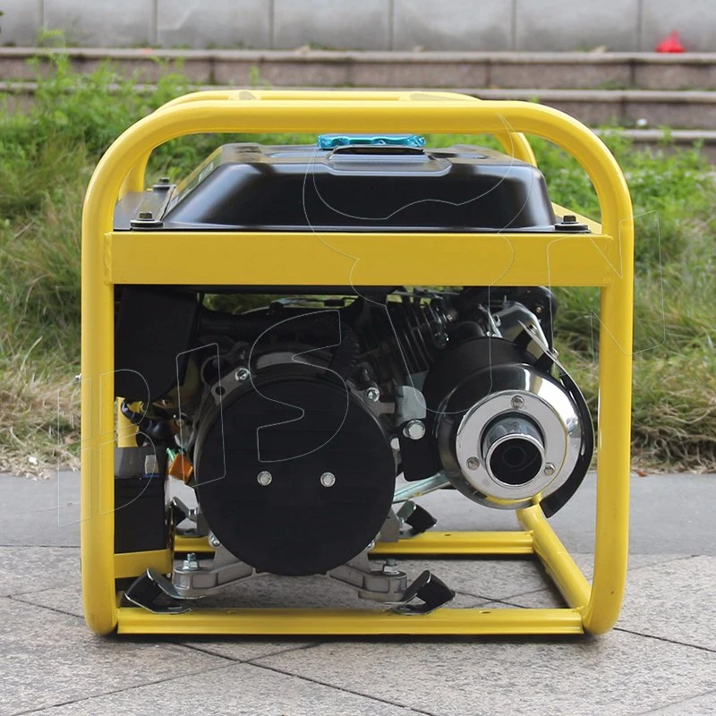 Bison Sale Factory Price Small Portable Mini Gas Generator