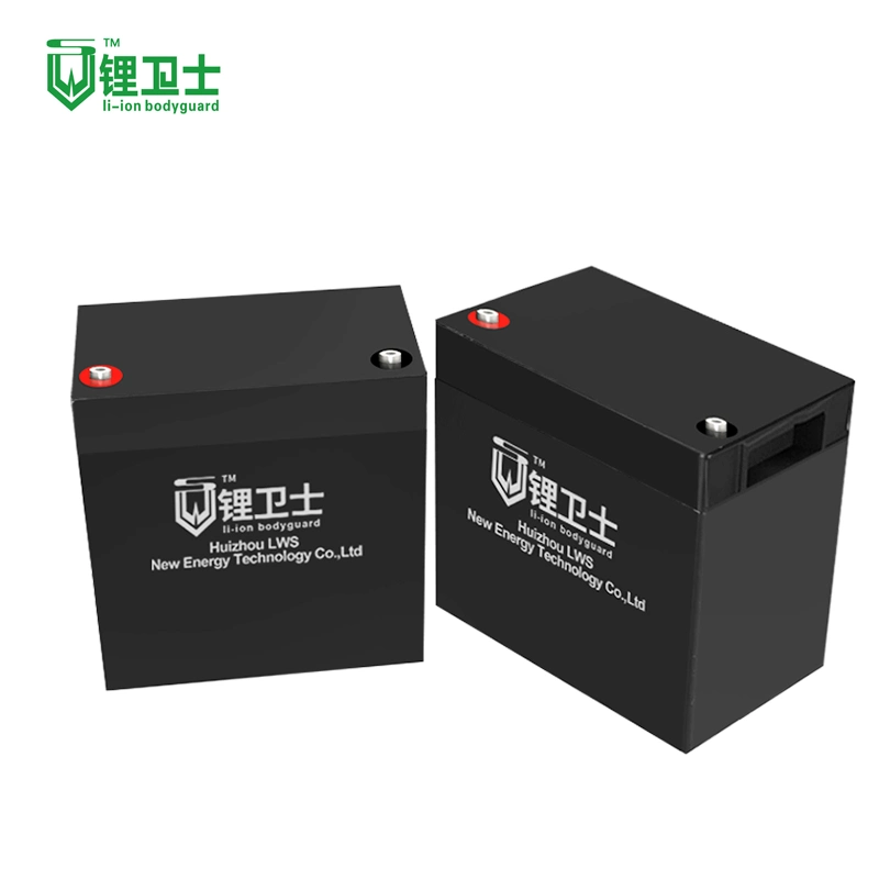 Voiture à télécommande pour chariot de golf LiFePO4 48V Lithium-ion Batterie avec BMS