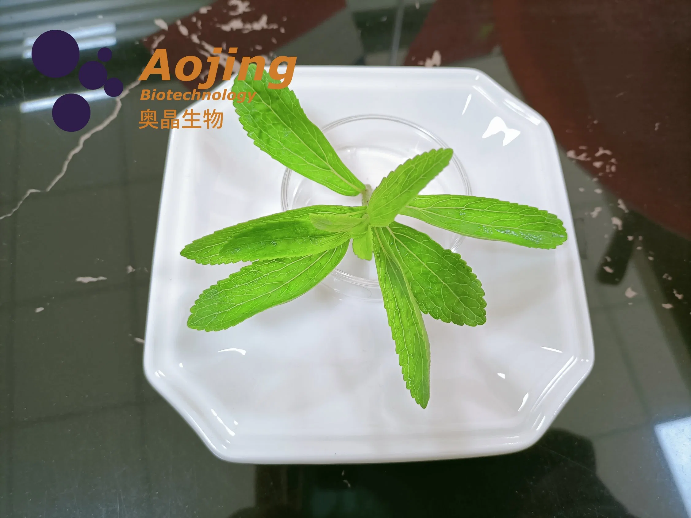 Natural Steviosides Rebaudioside Herbal Plant Stevia Extract 90%