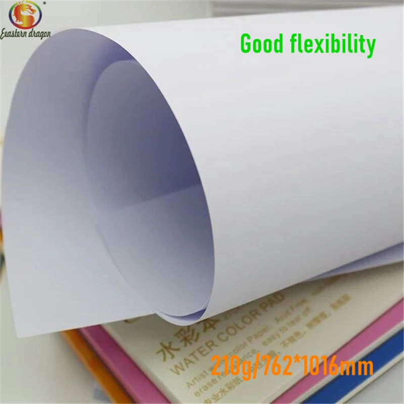 Ivory Board/ C1s /Fbb/ Paper Board for Digital Products Packing