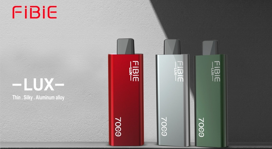 Best Seller Wholesale/Supplier Disposable/Chargeable Randm Fibie Tornado 7000 Puff E Cigarette Vape with 10 Flavors