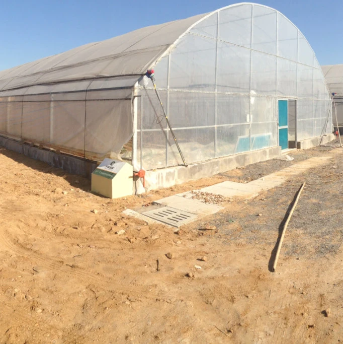 Agriculture Single Span High Tunnel Greenhouse Plastic Cover for Sale