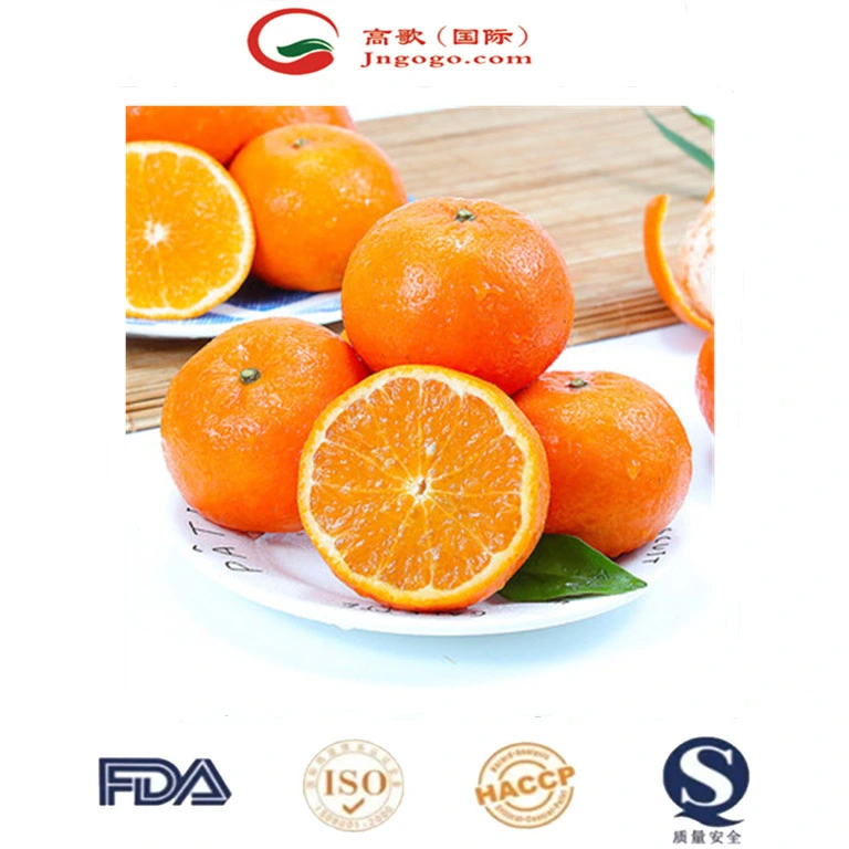 China Fresh, Sweet and High-Quality Mandarin, Orange