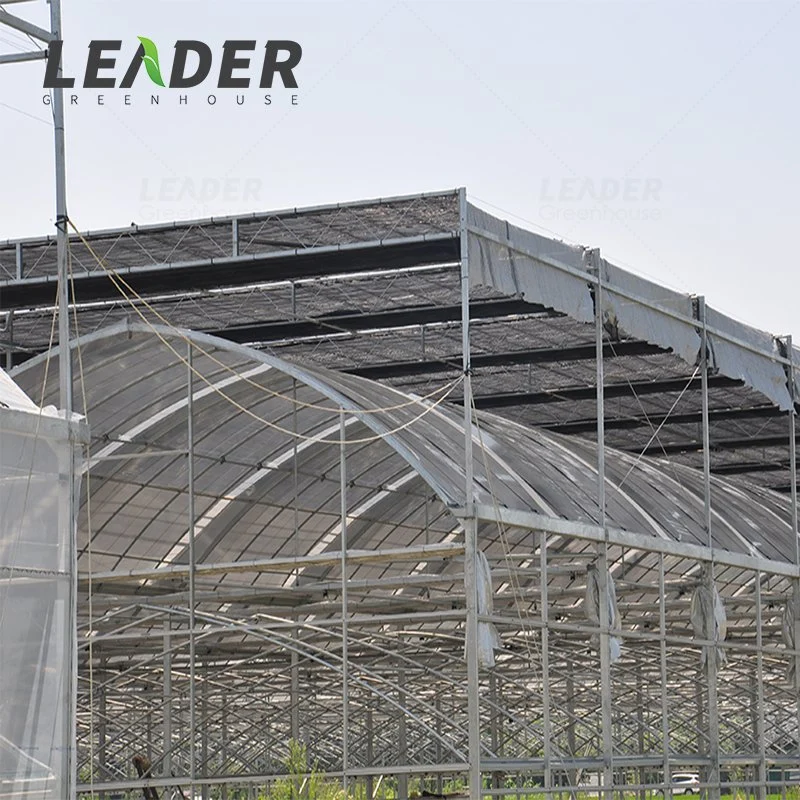 Agricultural Multi-Span Plastic Tunnel Film Greenhouse