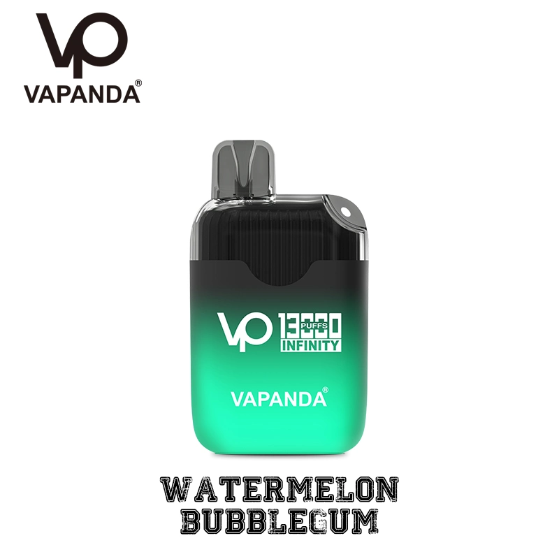 18000 bouffées de cigarettes jetables Vape Digital Waspe Mini E-cigarette