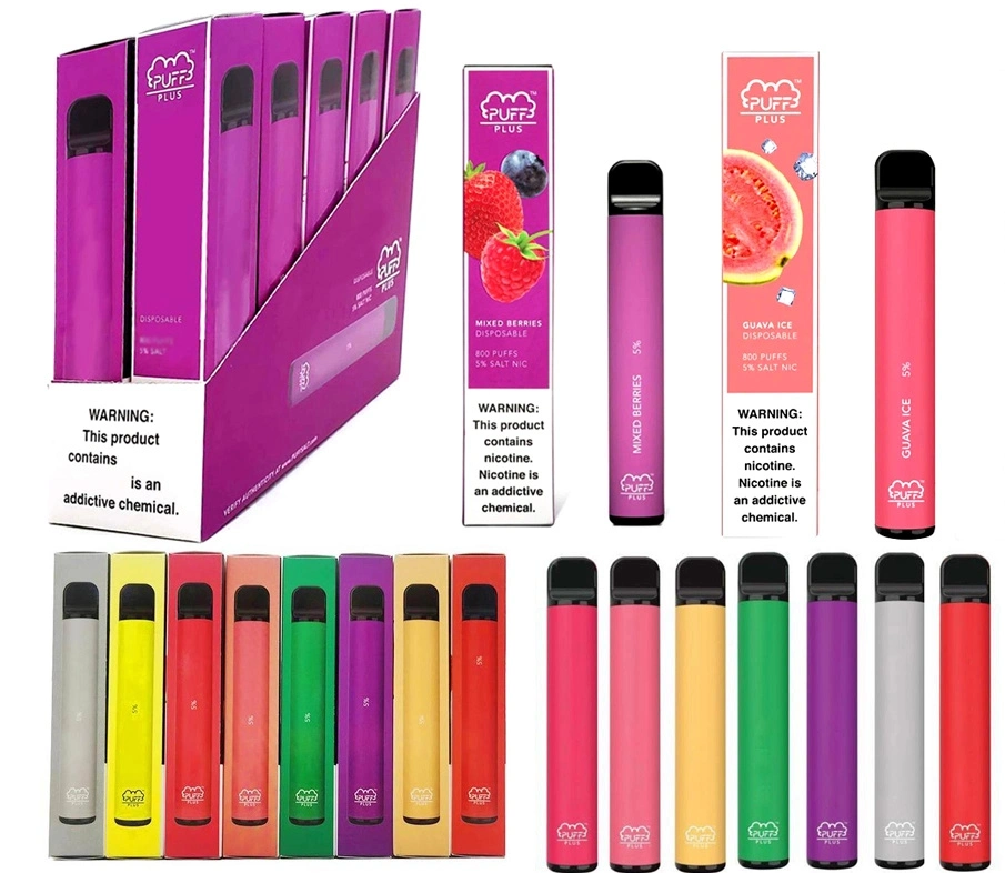 Stylo Vape jetable Original Wholesale/Supplier 550 mAh 800 Puff plus Pen E-cigarette style