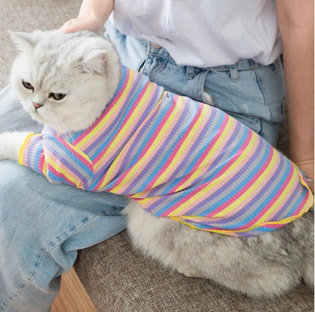 Hot New Knitted Bottoming Shirt Thickened Section Wool Pet Winter Warm Clothes