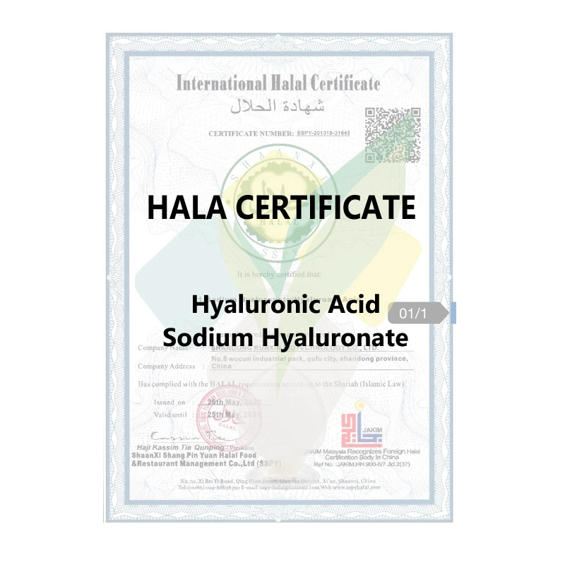Health Supplements Skin Anti-Wrinkle Food Grade Pure Hyaluronic Acid Sodium Hyaluronate Powder