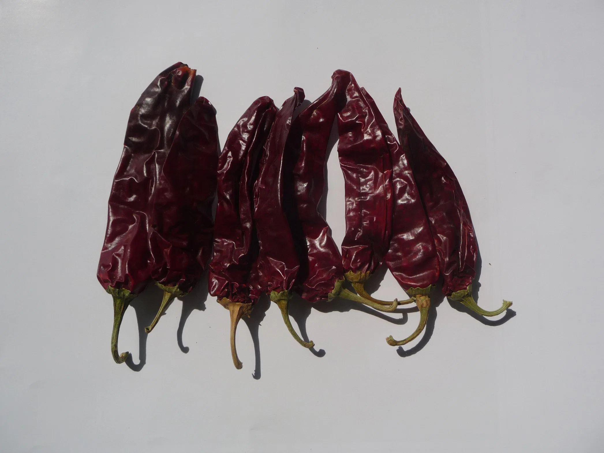 Vendre à chaud de poivron rouge piment Jinta avec la meilleure qualité / Xinglong / Chili / sec de poivron rouge