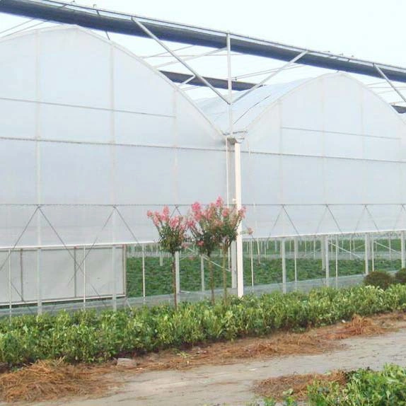 Arrojar la agricultura Multi Span Jardín Agro cálidos invernaderos