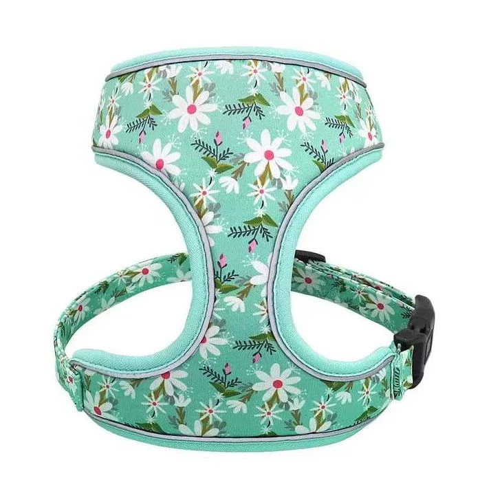 Hanyang Individual Packaging Custom Made Customized Wholesale/Supplier Dog Harness Pet Products