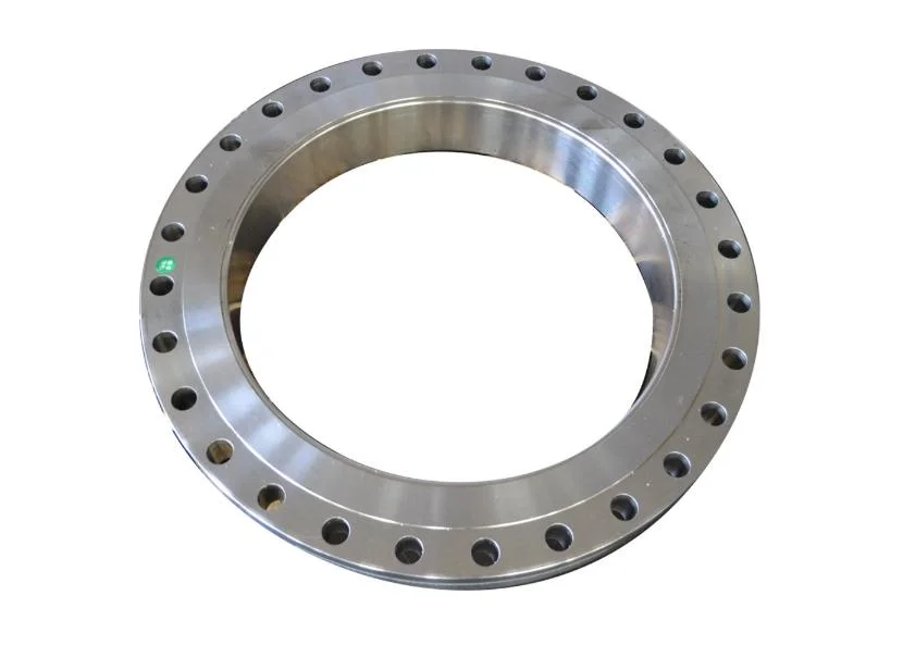 DN40 Heat Treatment Duplex Stainless Steel Plate Flange