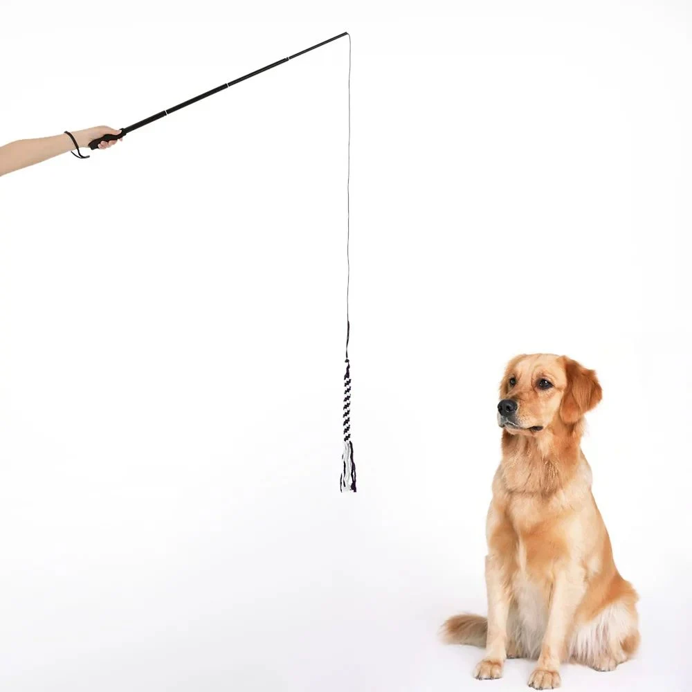 Hot Sell Pet Training Stick Teaser Telescopic Pole for Dog Training Toy