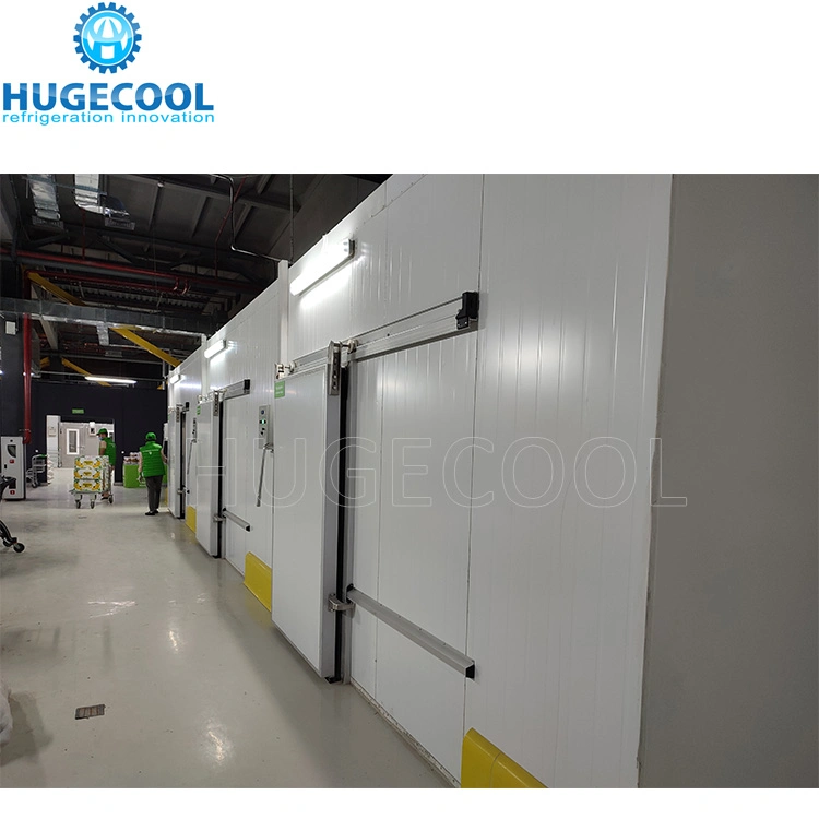 Customized Size Cold/Cooler/Chiller/Freezer Room with Medium and Low Temperature