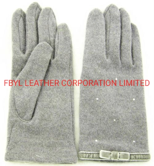 Lady Fashion Wool Touch Mobile Gloves (JYG-25067)