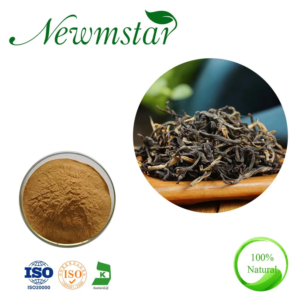 Anti Virus Plant Extract Black Tea Extract with Theaflavin Anti-Inflammatory