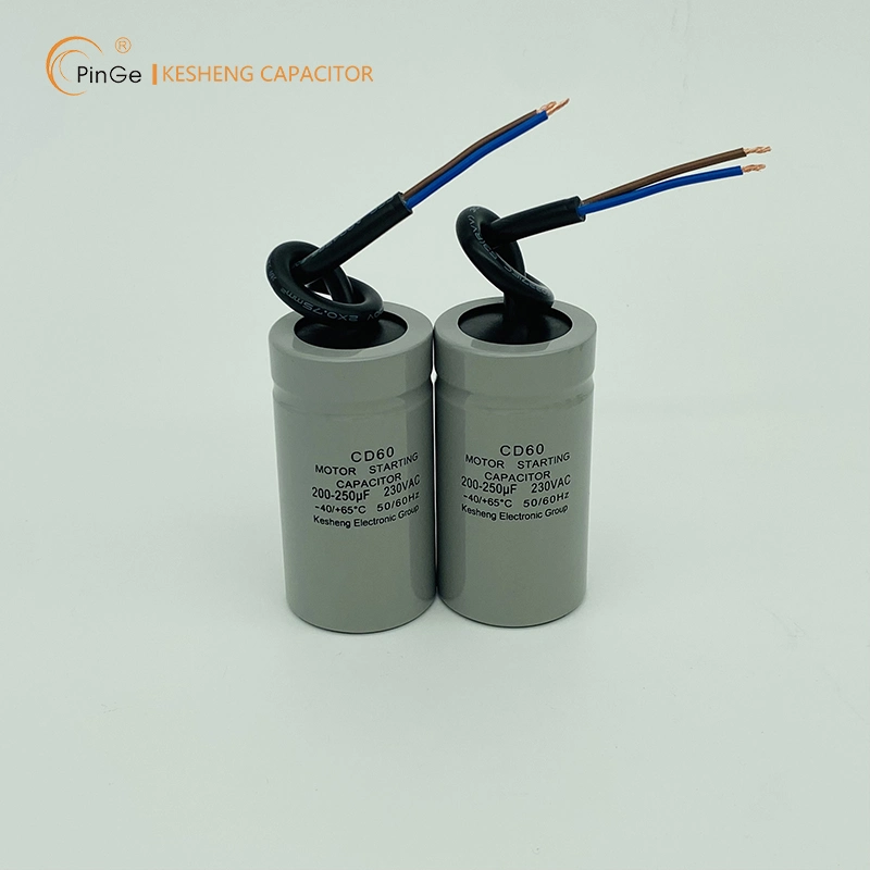 CD60 Motor Starting Capacitors OEM ODM Manufacturer in China