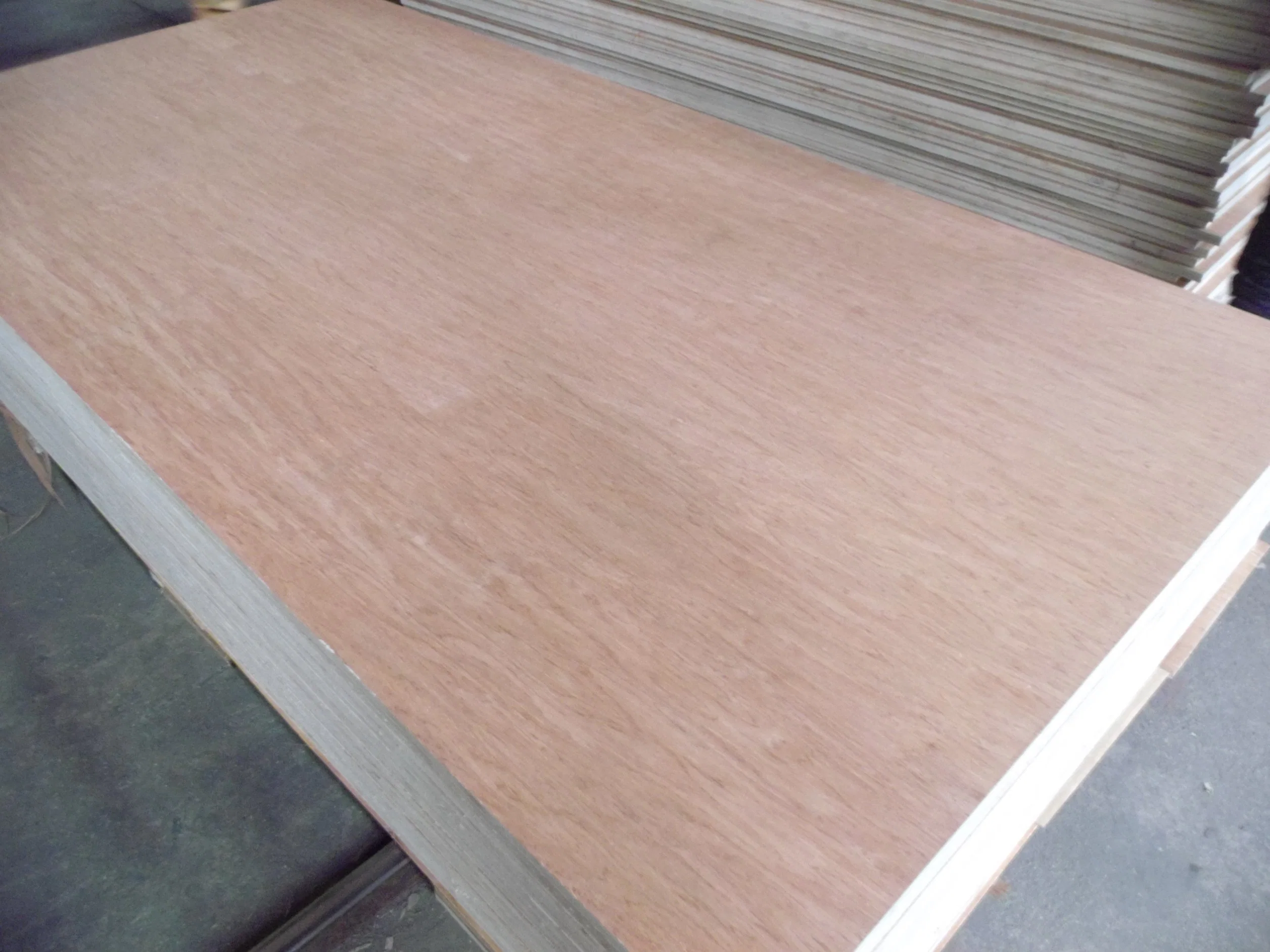 Commercial Poplar Plywood for Furniture and Packing