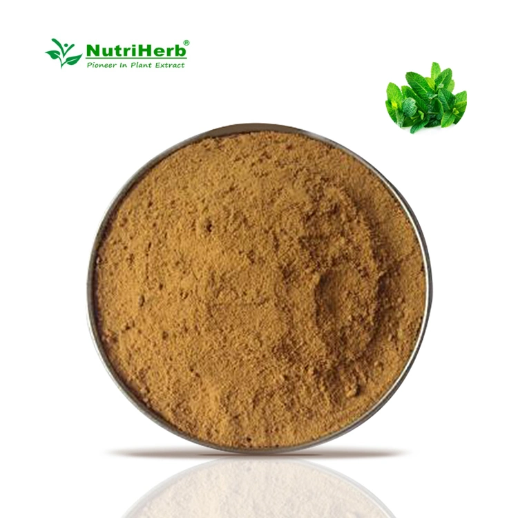 100% pur naturel qualité alimentaire extrait de feuille de menthe extrait de plante en poudre, extrait de Mentha Leave