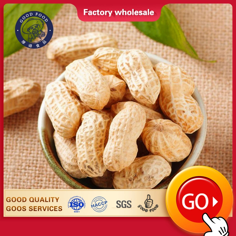 Chinese Factory Professional Peanut Factory/Mill Best Raw Peanuts in Shell