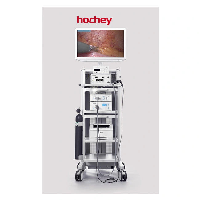 Hochey Medical Video Gastroscope and Colonoscope Endoscope Camera System