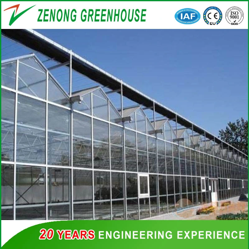 Intelligent Glass Green House for Vegetables Fruits Flowers