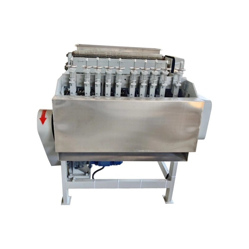 Cashew Nut Grading Shelling Peeling Sorting Whole Processing Line Machine