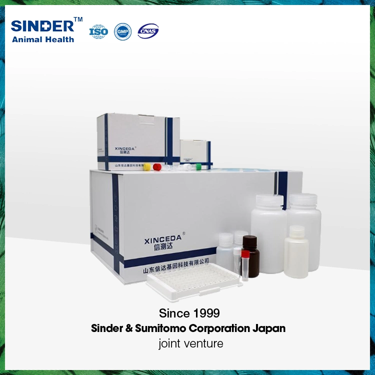 PCR Detection Kit for Decapod Iridescent Virus (DIV, SHIV, SIV) of Shrimp (Fluorescent Probe Assays)