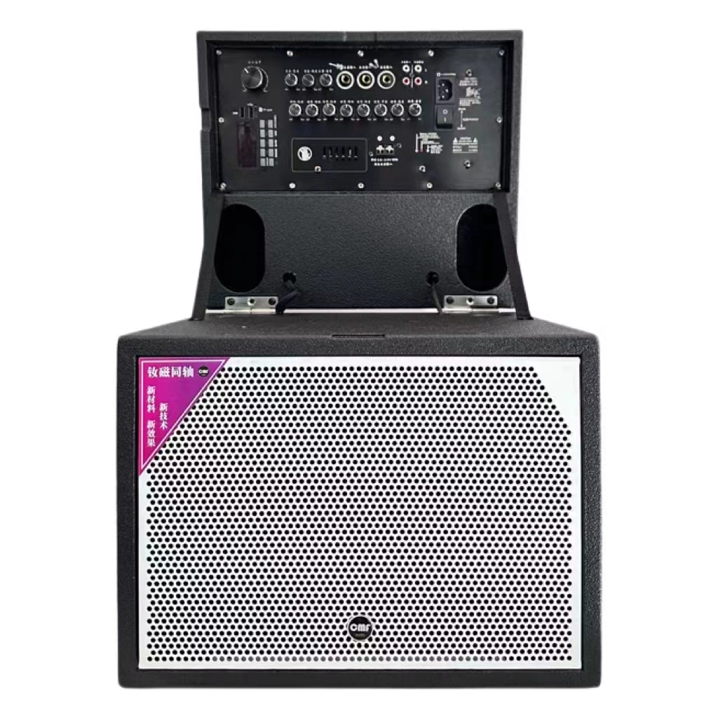 8-Inch Active Speaker, Popular Industry, Live, Guitar, Singing Must-Choose Products