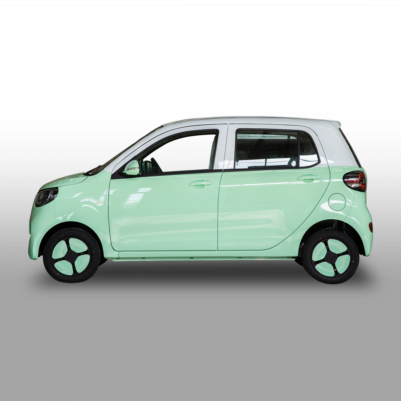 Popular Family Electric Vehicle Electric Car