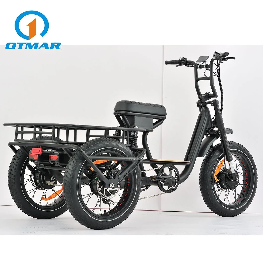 Nouveau style 3 roues motrices moteur 20 pouces tout-cargo électrique Tricycle Fat tire trois roues moto haute puissance adulte double Batterie suspension complète E Trike Wholesale/Supplier