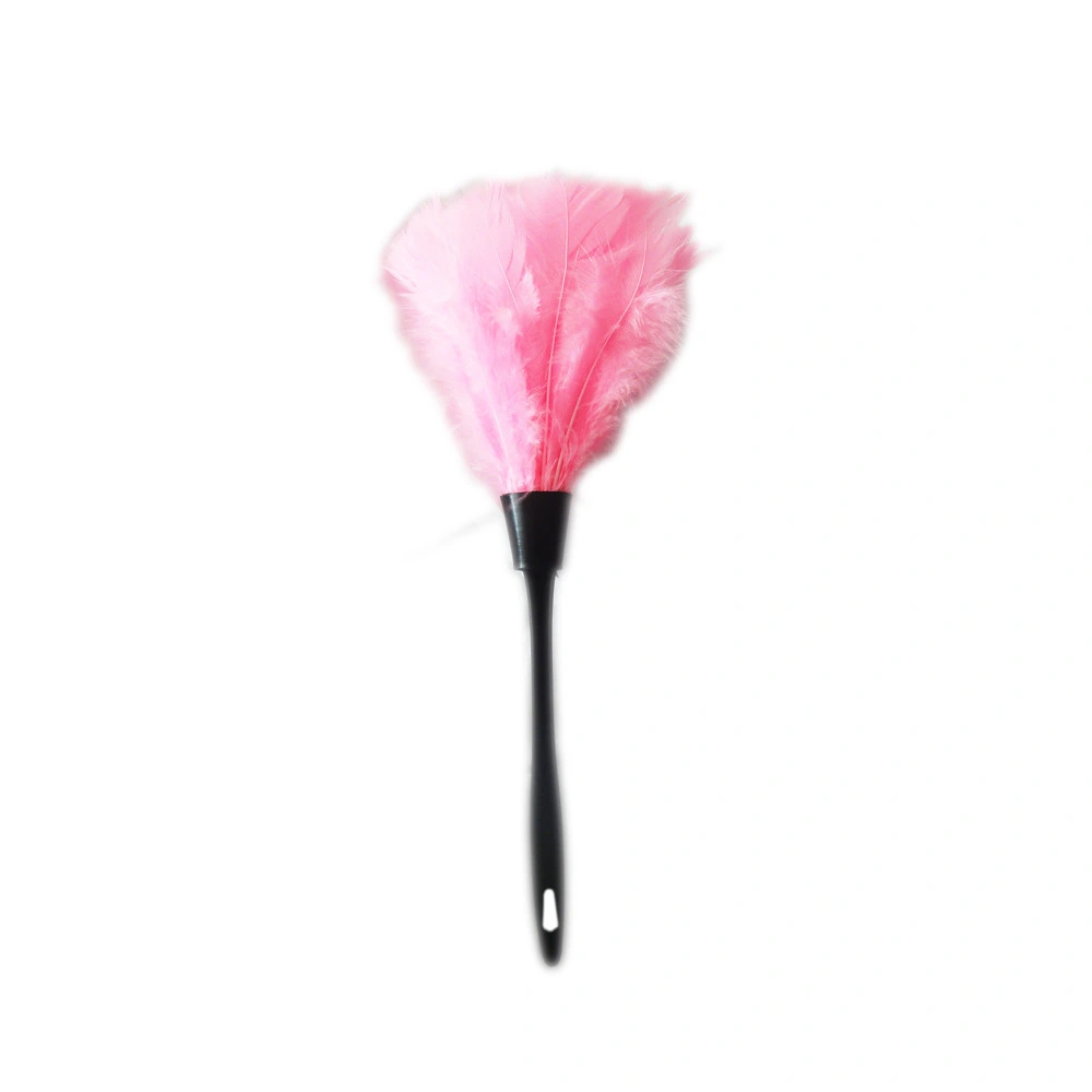 Горячие продажи плоский Feather Duster