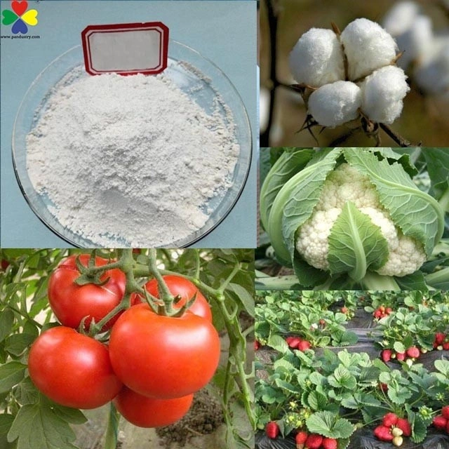 Organic Fertilizers Pgr Increase Yield Dcpta 98 in Plant Growth Regulator