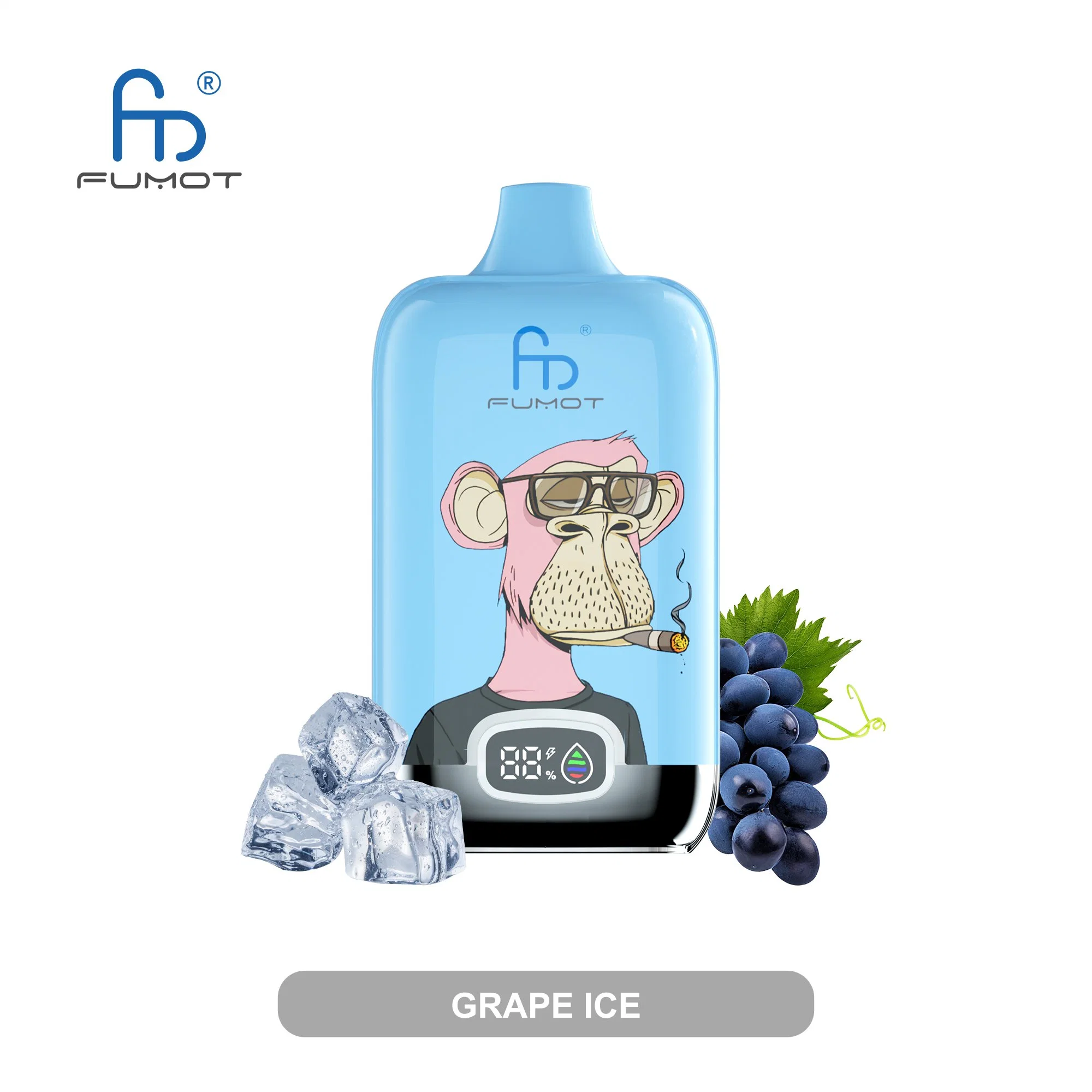 Nouveau Randm 12000 Puffs jetable Vape boîte d'affichage numérique originale De Shenzhen Fumot Technology