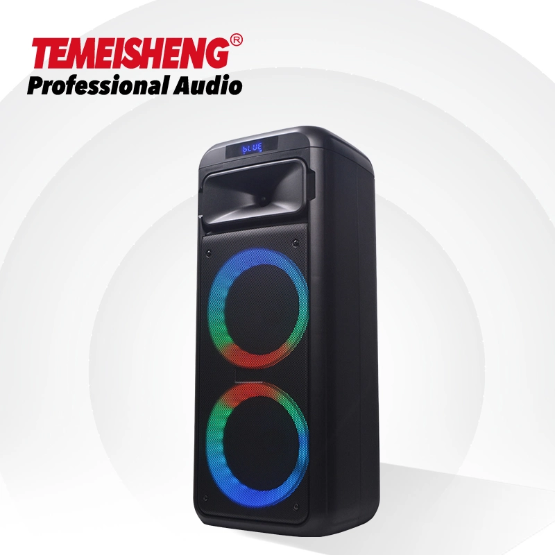 2022 Temeisheng Double 6.5 Inch Professional Wireless Outdoor Colorful Light Powered Bass Surround Sound Karaoke Speaker